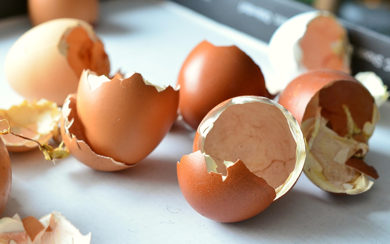 genesys poultry industry